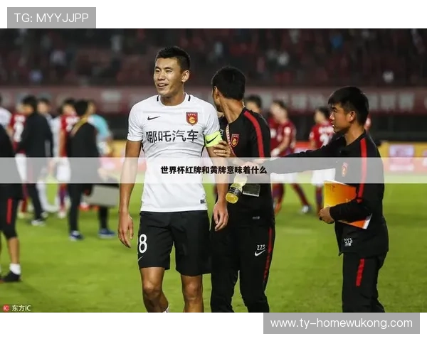 停赛规则解析：累积黄牌和红牌的处罚细节解读