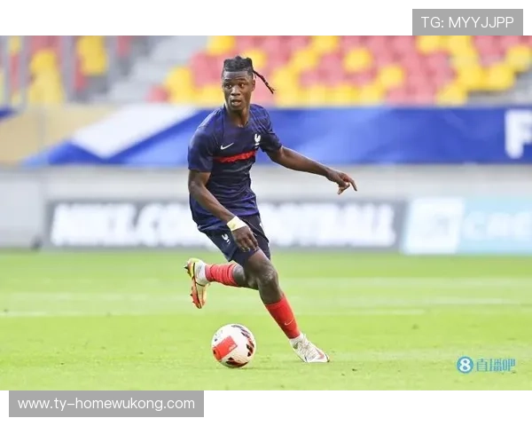 卡马文加国家队地位解析：战术适配性与期待值是否匹配