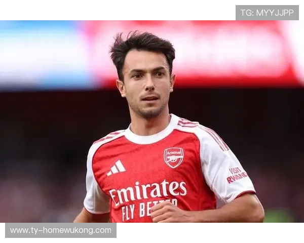 祖比门迪是否缺乏统治力？赛场表现维度深度解析