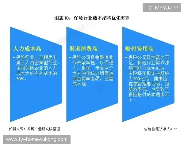 技术犯规详细解读，全面了解NBA和FIBA的判罚标准